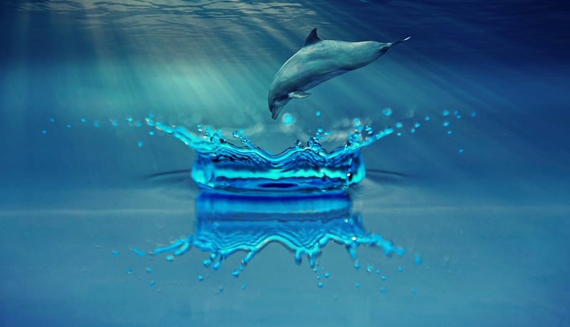 Mystical Water Features